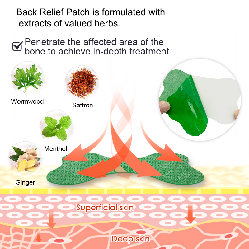 12/48 個腰温湿布使い捨てハーブケアステッカー肌に優しい - Skincare Herbal のレビューと価格